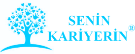 Senin Kariyerin Danışmanlık